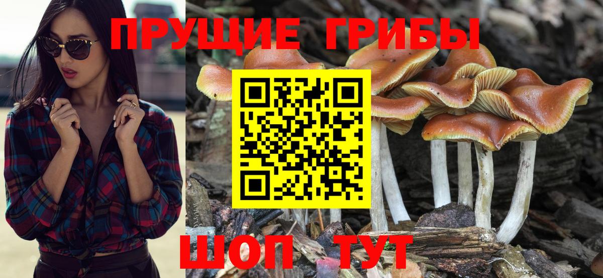Псилоцибиновые грибы MAGIC MUSHROOMS Киселёвск