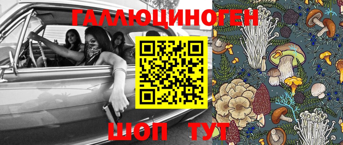 Киселёвск  Галлюциногенные грибы GOLDEN TEACHER  Вход с VPN 